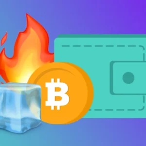 Hot vs Cold Wallet: What If You Picked the Wrong One?