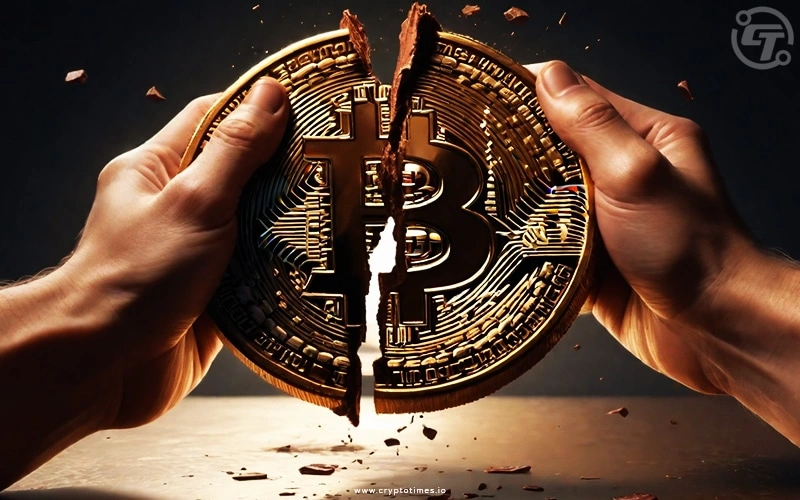 Bitcoin halving meaning